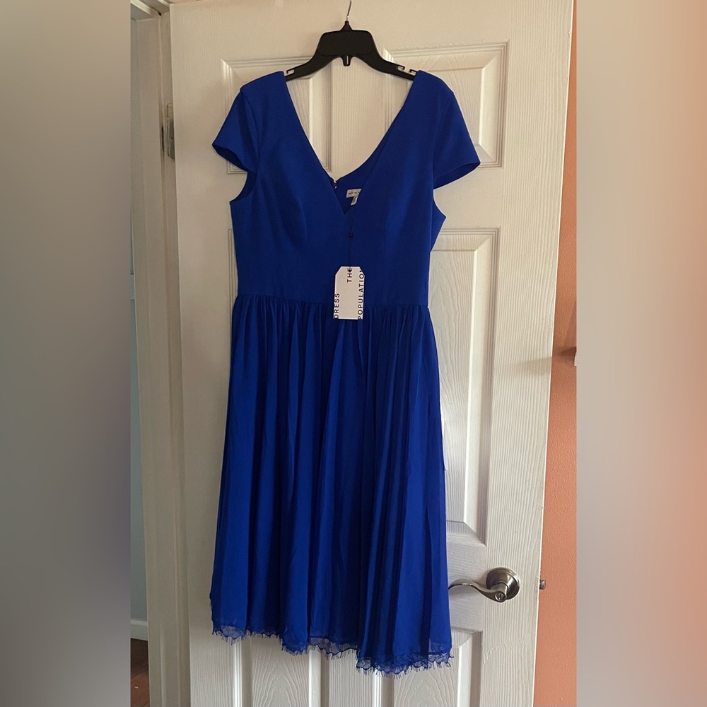 Dress the Population Blue Dress